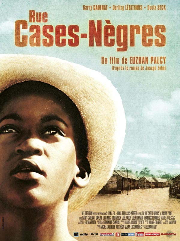 Régis Dubois & les Noirs dans le cinéma